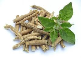 Ashwagandha Dried Roots
